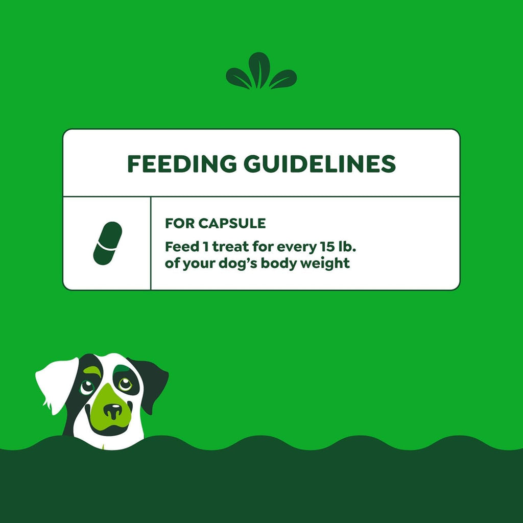 Chicken Flavor Capsule Treats for Dogs 15.8-Ounce 3 Pack V4014