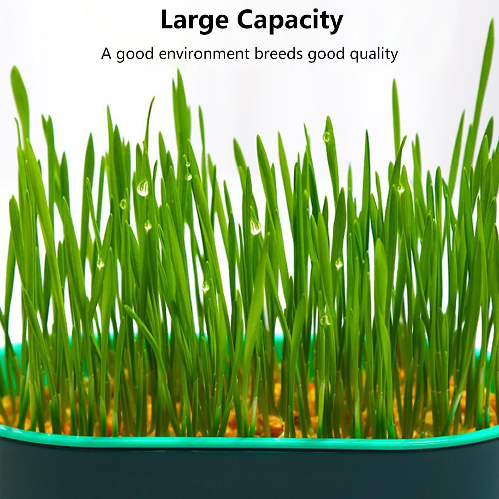 Cat Grass Planter Box, 3 Pcs Plastic Growing Trays Q42778