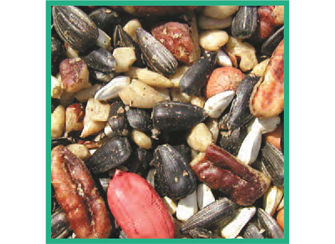Bird Seed, 20-Pound E207