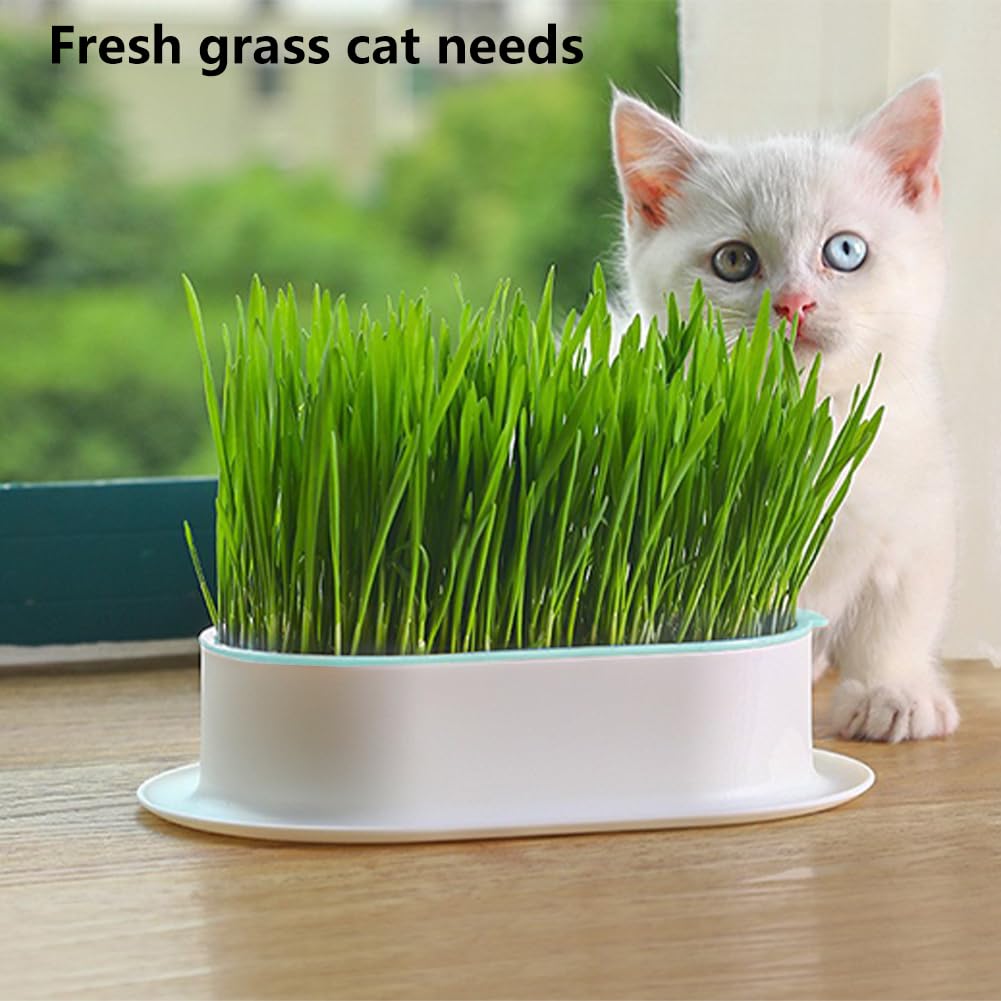 Cat Grass Planter Box, 3 Pcs Plastic Growing Trays Q42778