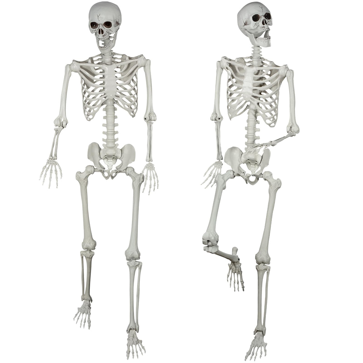 5.4ft Posable Life Size Skeleton Bones with Movable Joints L803