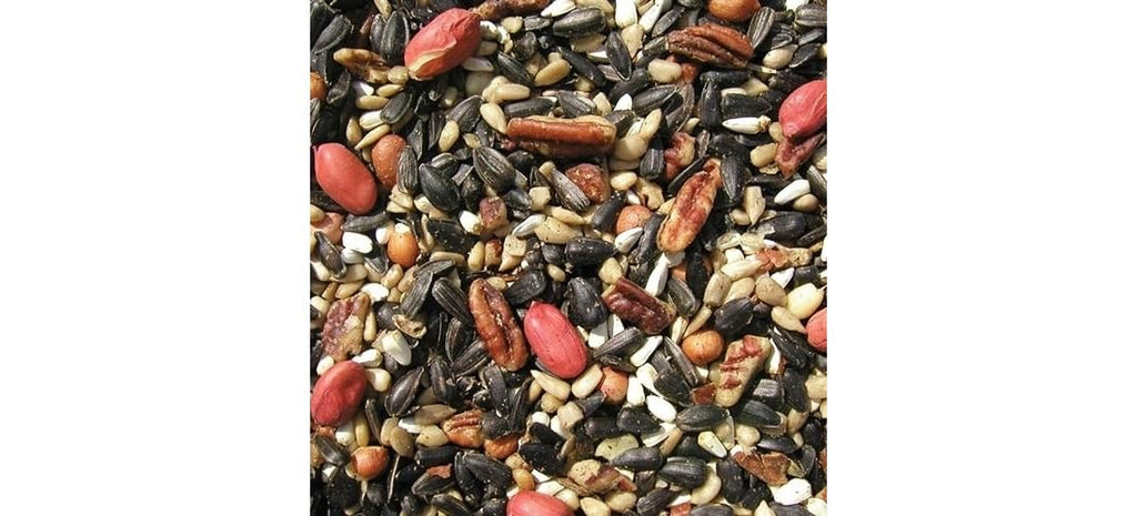 Bird Seed, 20-Pound E207