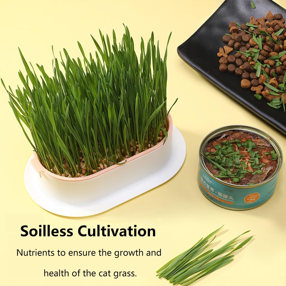 Cat Grass Planter Box, 3 Pcs Plastic Growing Trays Q42778