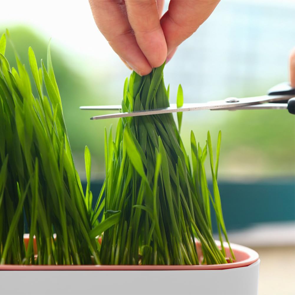 Cat Grass Planter Box, 3 Pcs Plastic Growing Trays Q42778