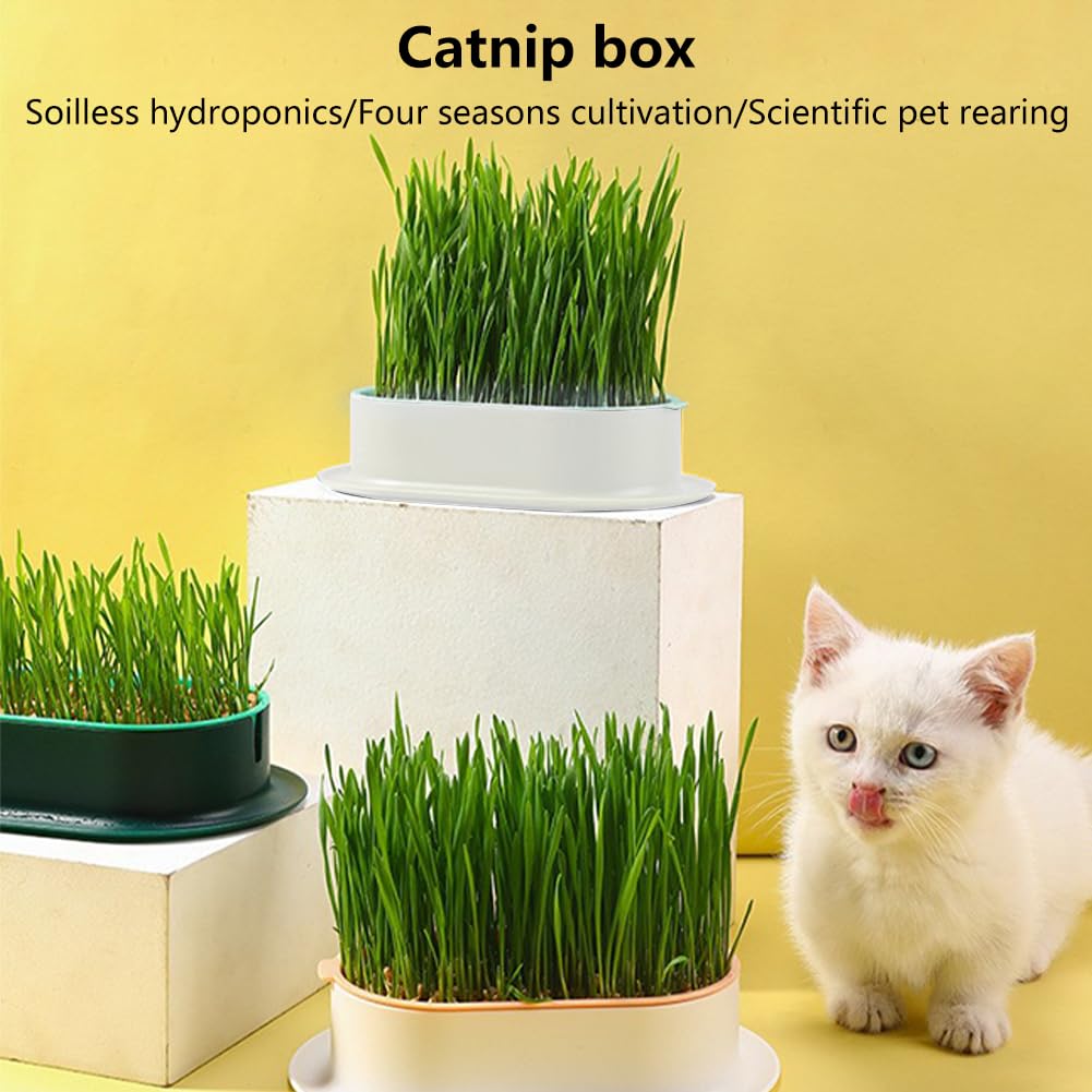 Cat Grass Planter Box, 3 Pcs Plastic Growing Trays Q42778