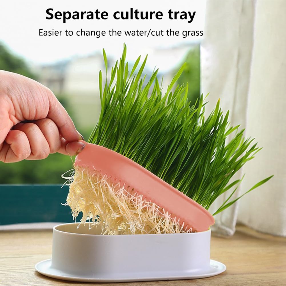 Cat Grass Planter Box, 3 Pcs Plastic Growing Trays Q42778