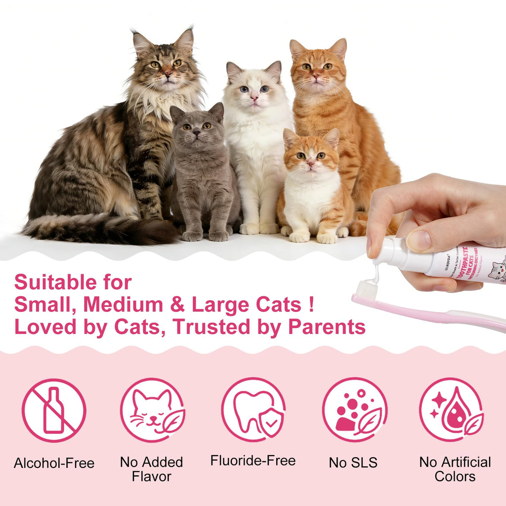 Cat Toothbrush and Toothpaste Dental Care Kit X534742