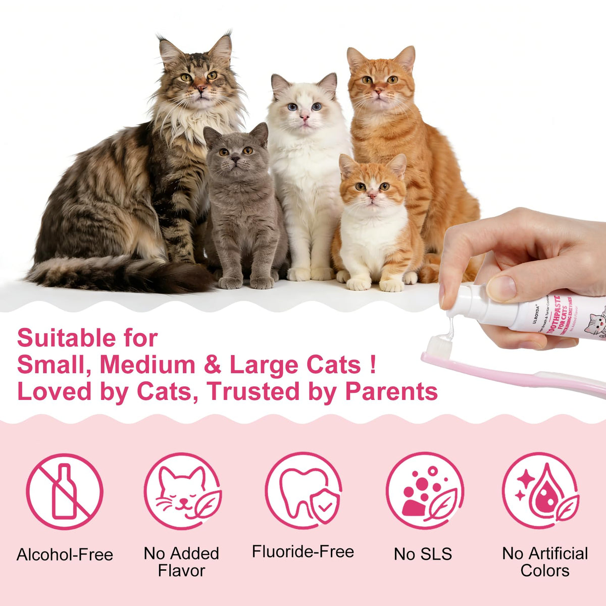 Cat Toothbrush and Toothpaste Dental Care Kit X534742