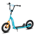 Kick Scooter T6099