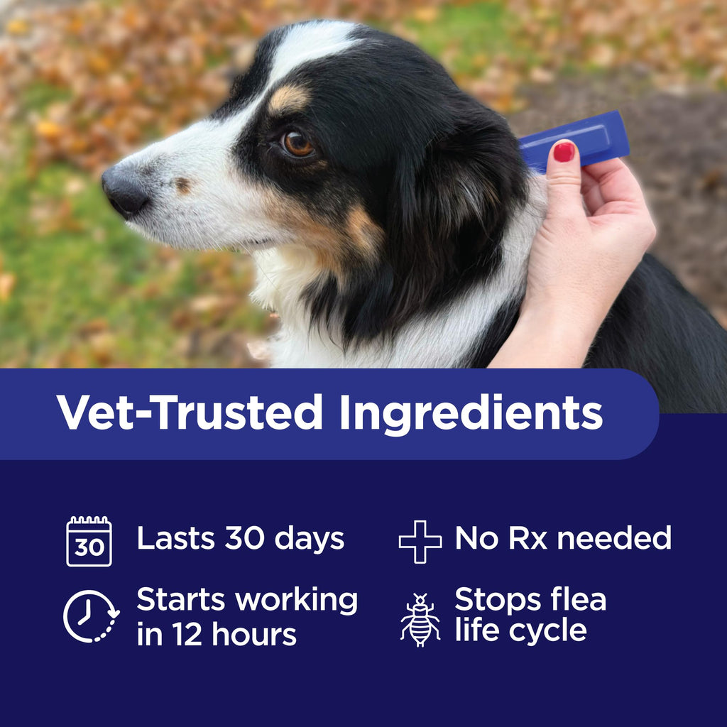 Flea and Tick Prevention for Extra Large Dogs 55+ lbs D34867