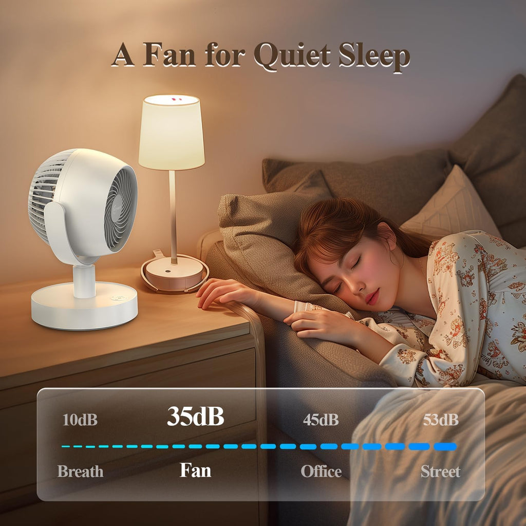 Portable Air Circulator Fan W36795