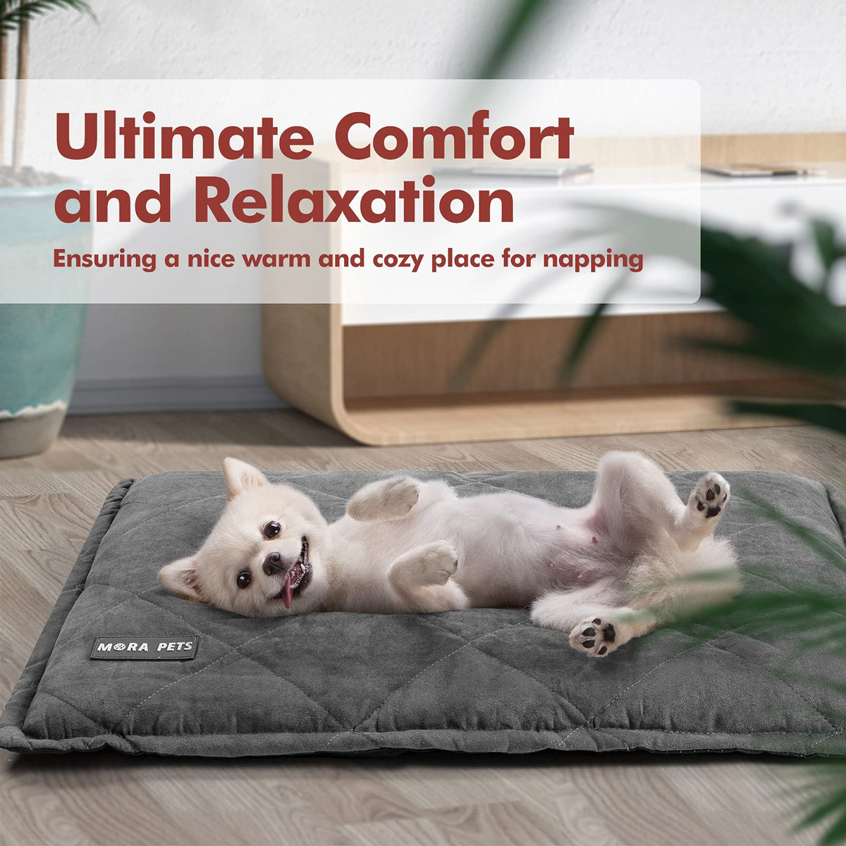 Self Heating Cat Bed 24 x 18 Inches U444