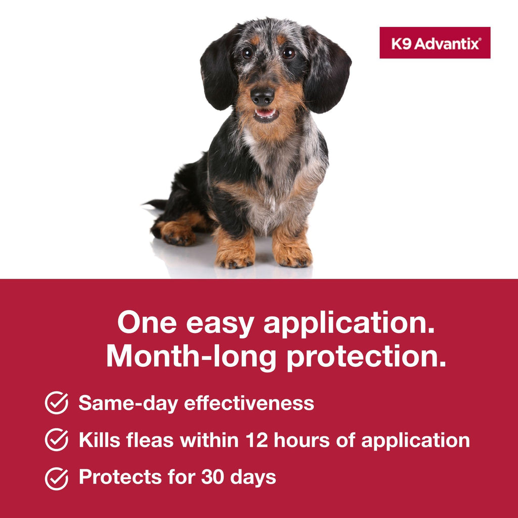 Flea Tick Mosquito Prevention for Dogs 4-10 lbs H6507