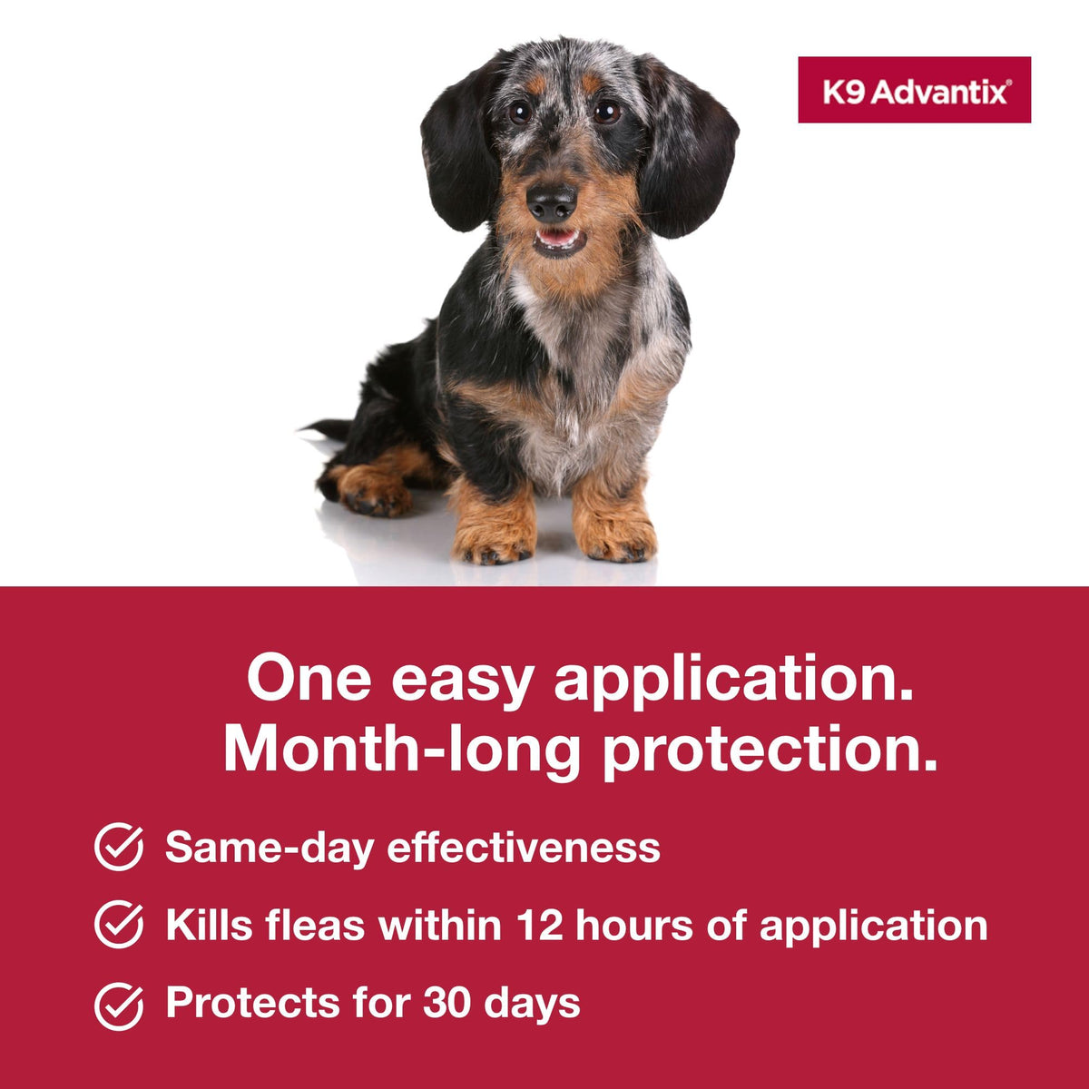 Flea Tick Mosquito Prevention for Dogs 4-10 lbs H6507