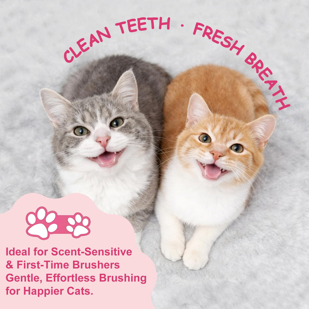 Cat Toothbrush and Toothpaste Dental Care Kit X534742