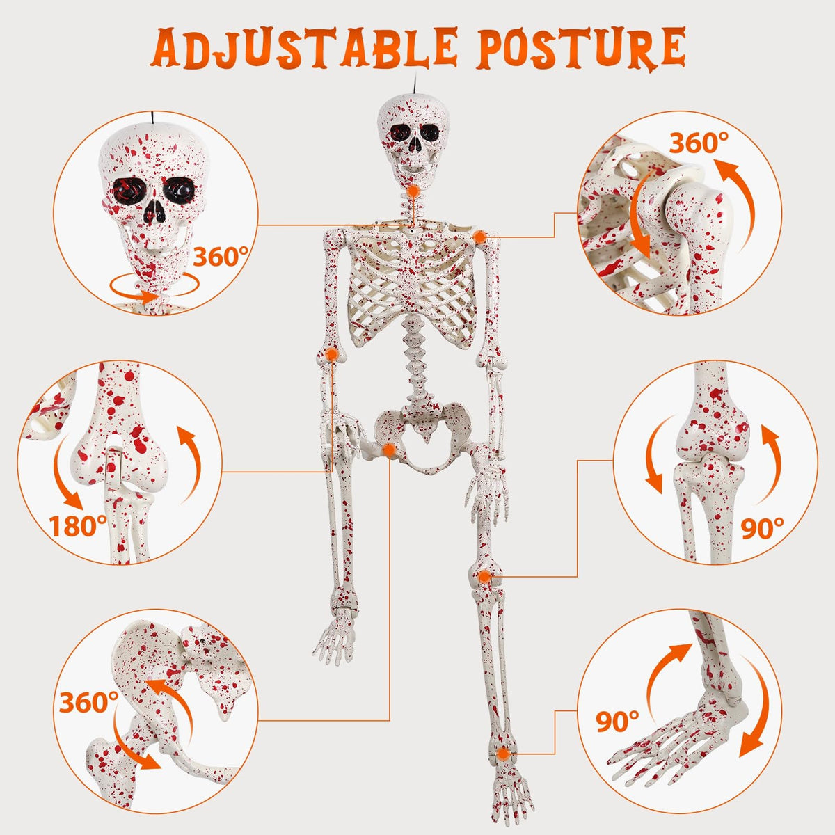 Life Size Posable Skeleton A9510