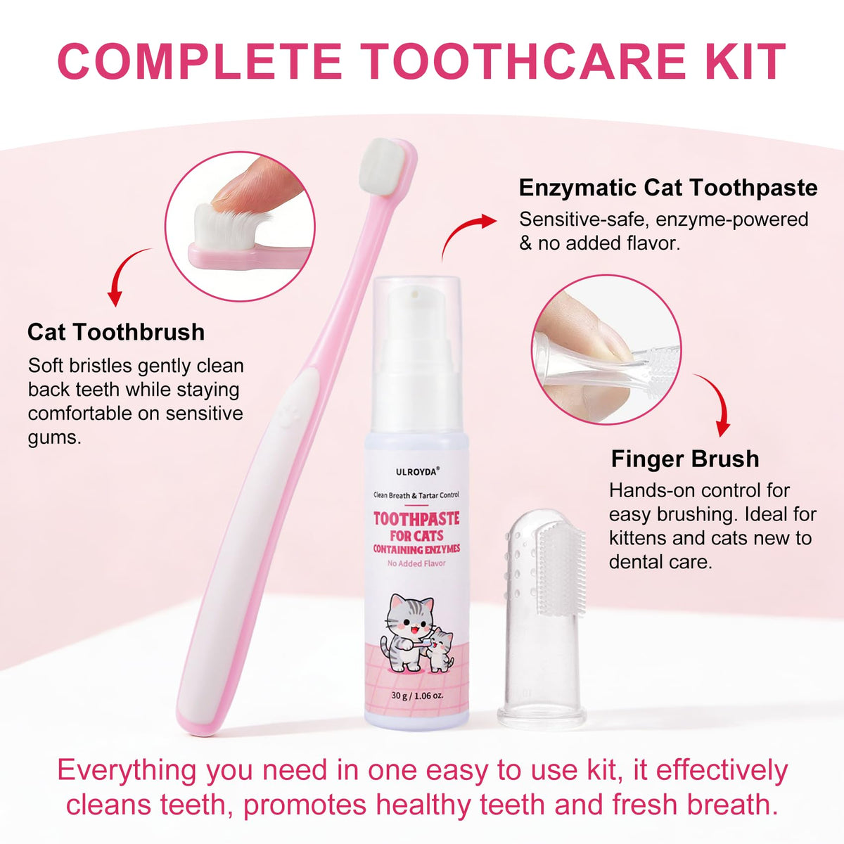 Cat Toothbrush and Toothpaste Dental Care Kit X534742