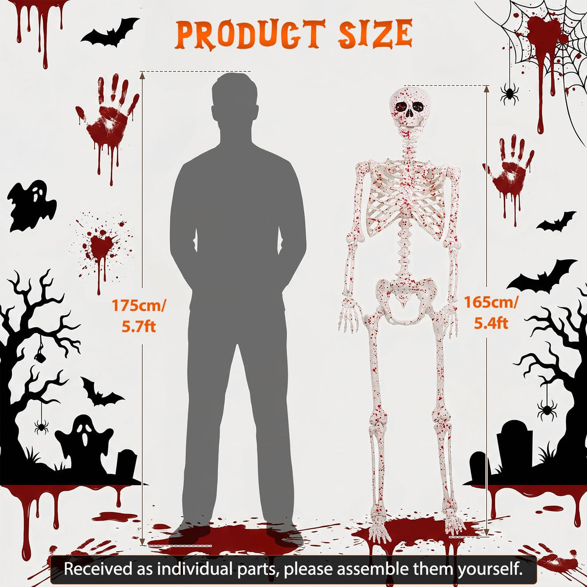 Life Size Posable Skeleton A9510