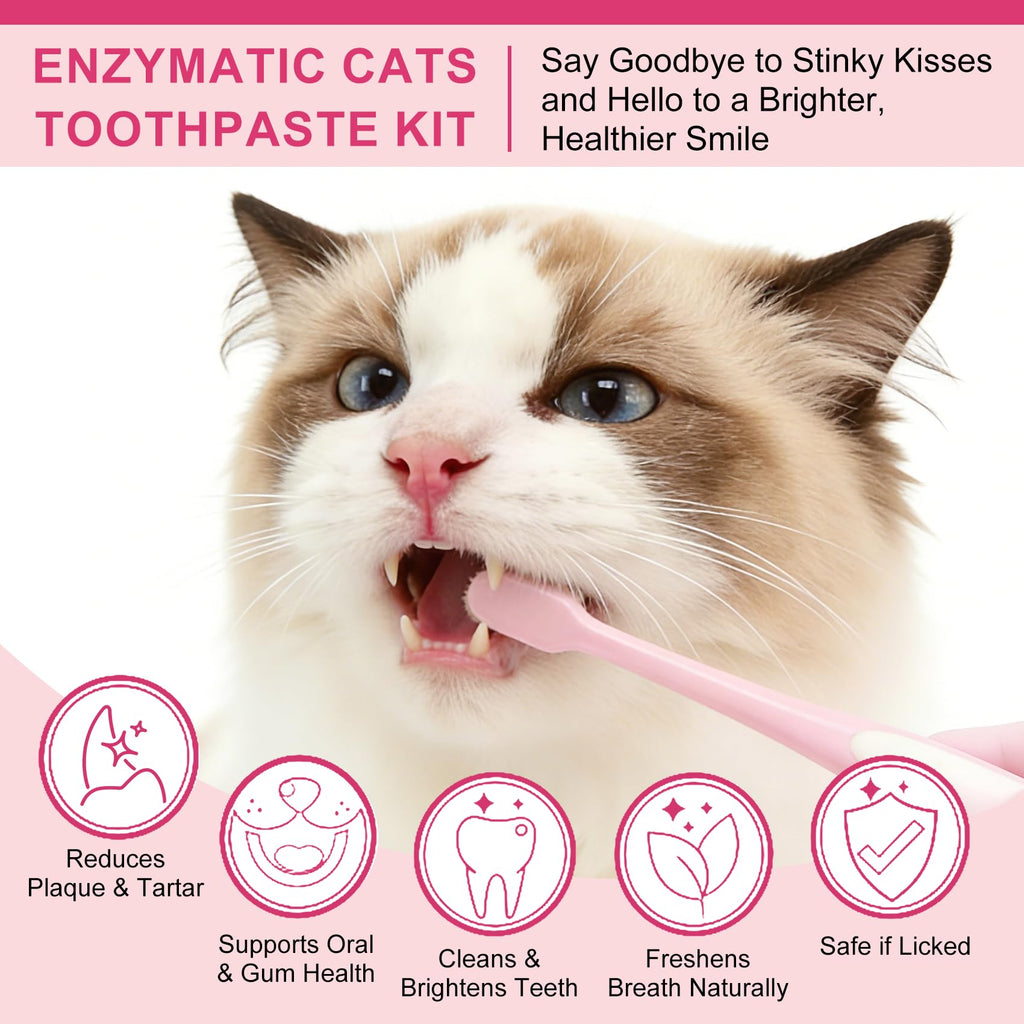 Cat Toothbrush and Toothpaste Dental Care Kit X534742