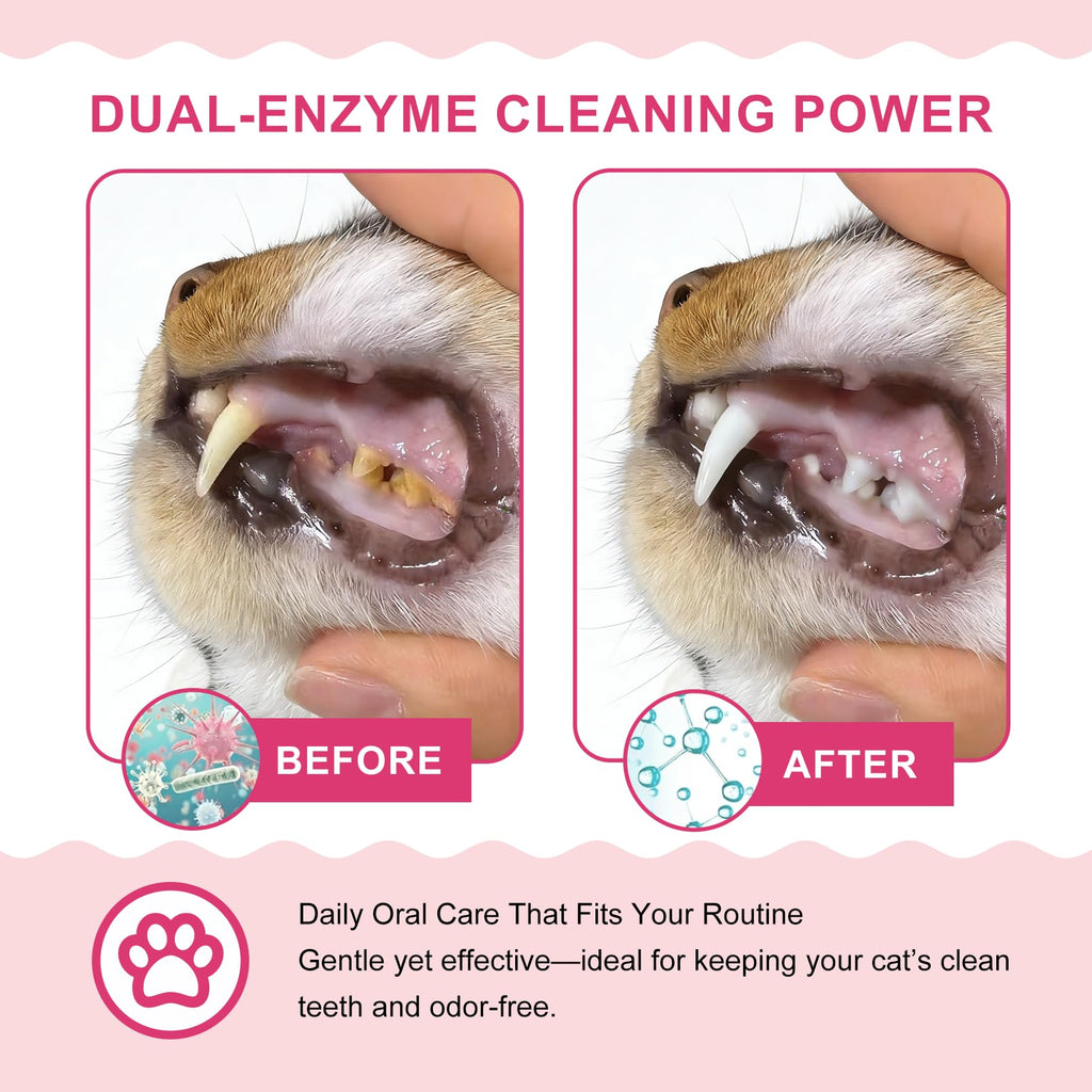 Cat Toothbrush and Toothpaste Dental Care Kit X534742