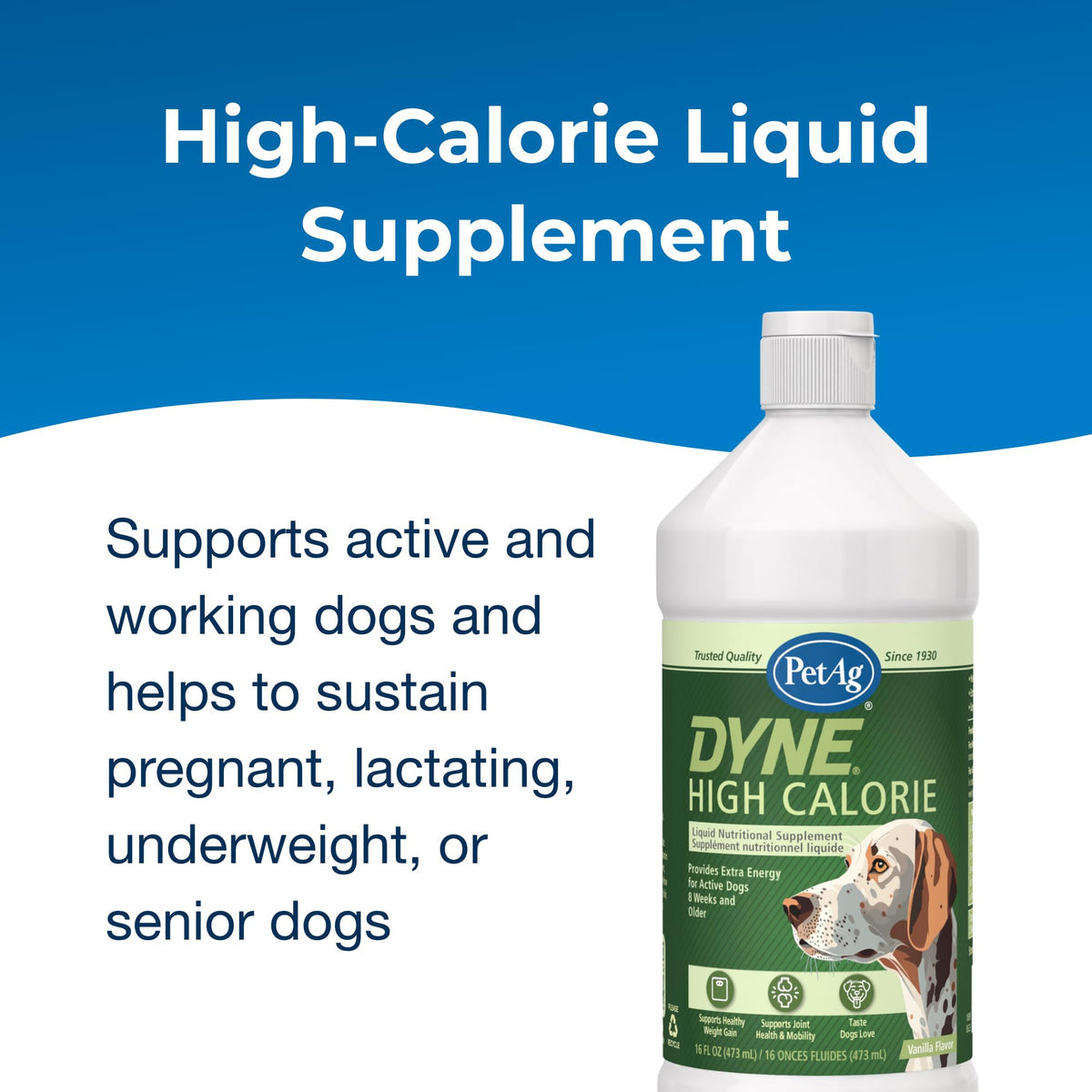 High Calorie Liquid Nutritional Supplement for Dogs & Puppies 16 oz J52554