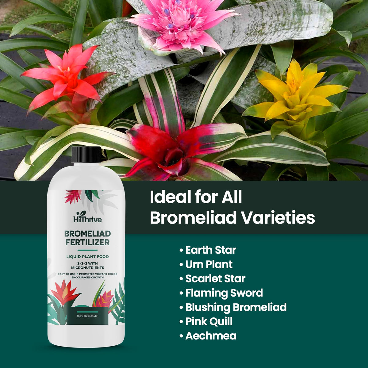 16oz Bromeliad Fertilizer W3854