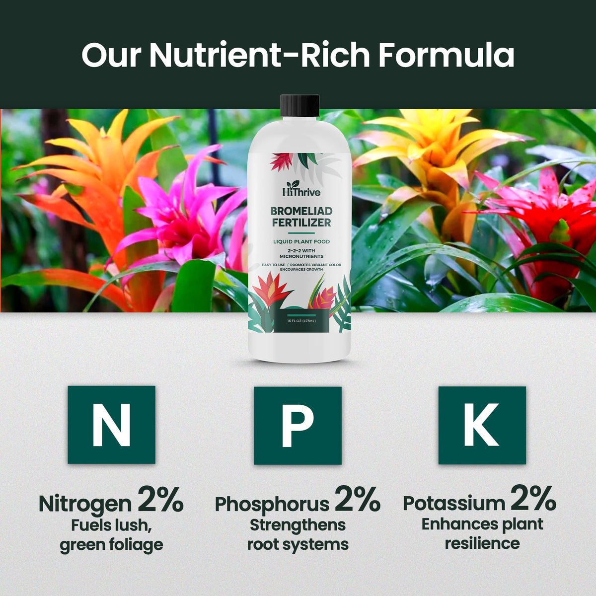 16oz Bromeliad Fertilizer W3854