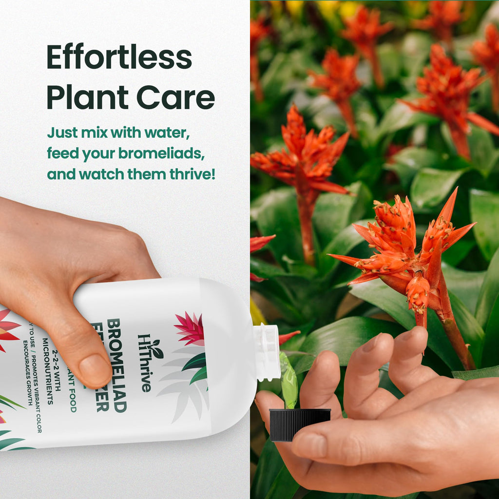 16oz Bromeliad Fertilizer W3854