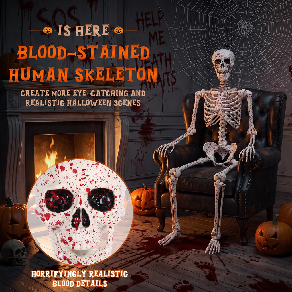 Life Size Posable Skeleton A9510