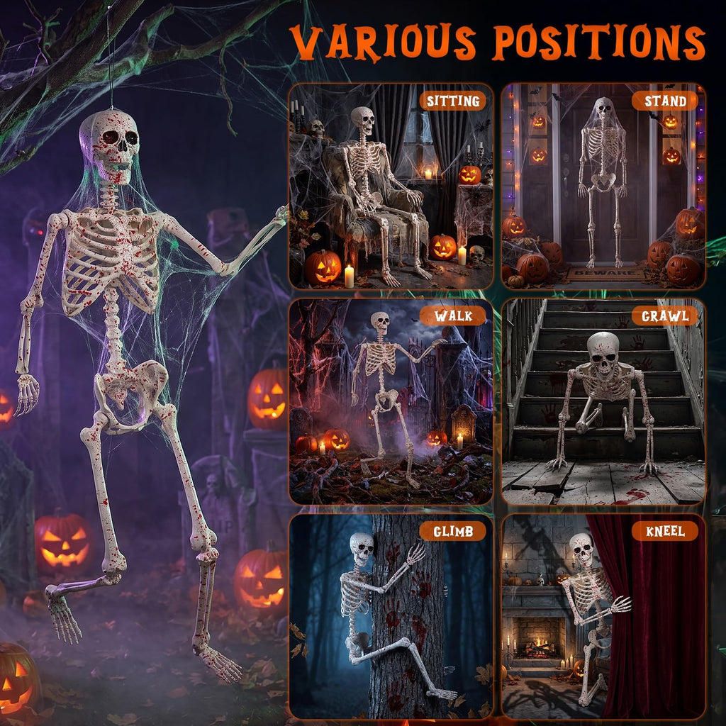 Life Size Posable Skeleton A9510