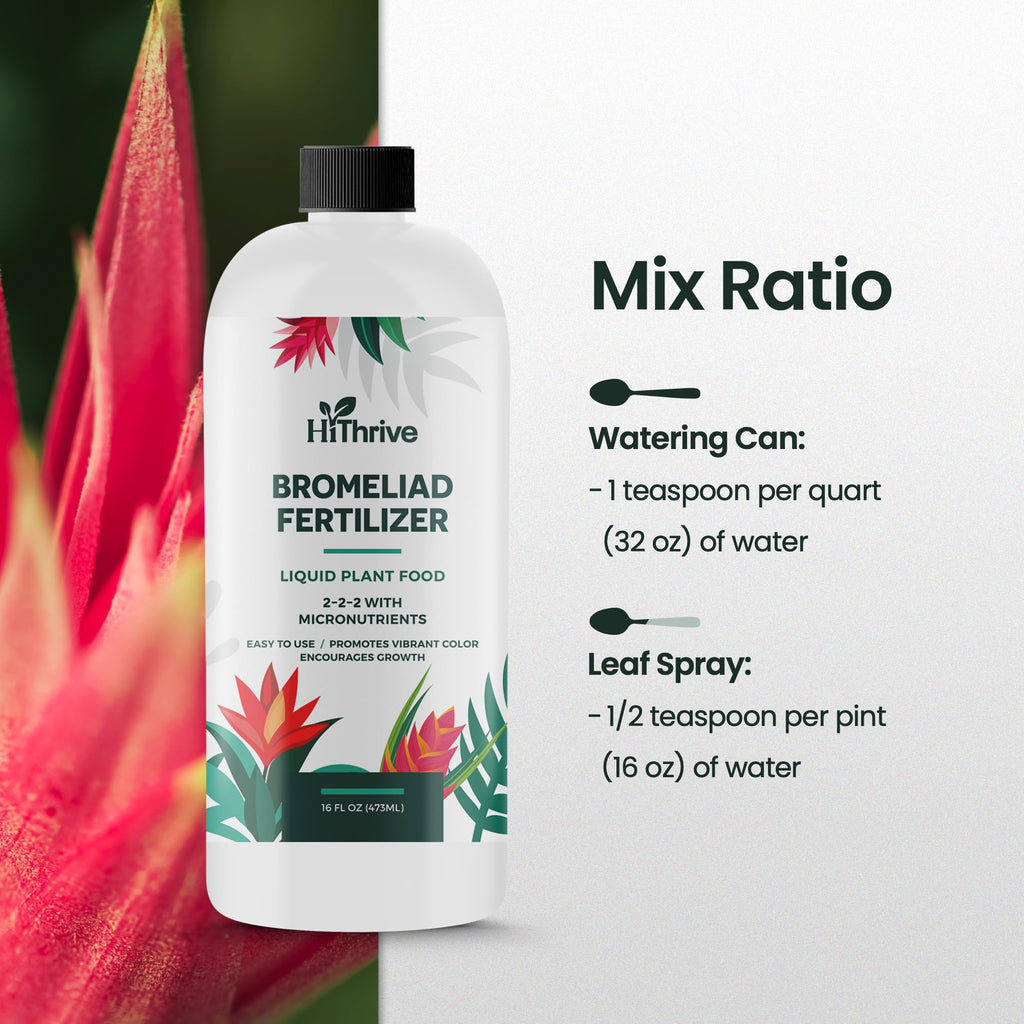 16oz Bromeliad Fertilizer W3854