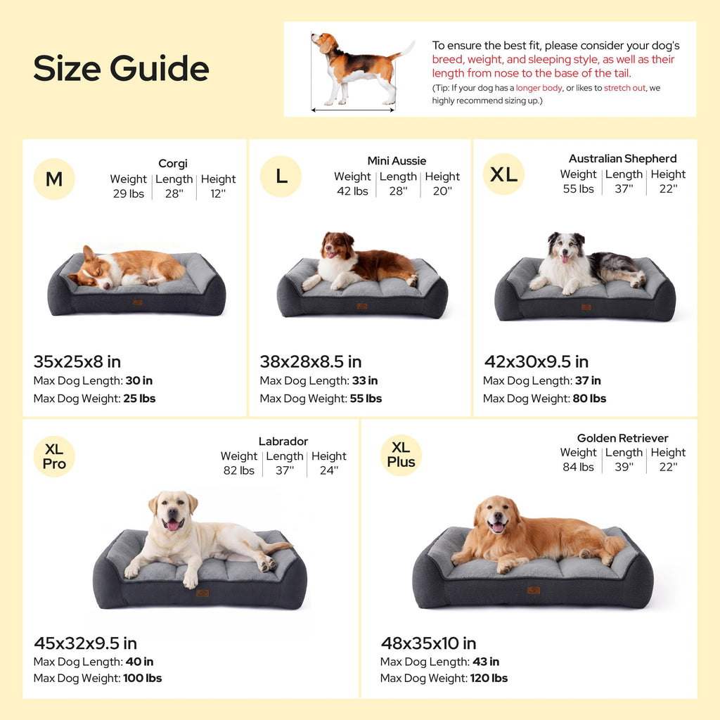 XL Orthopedic Dog Bed R40088