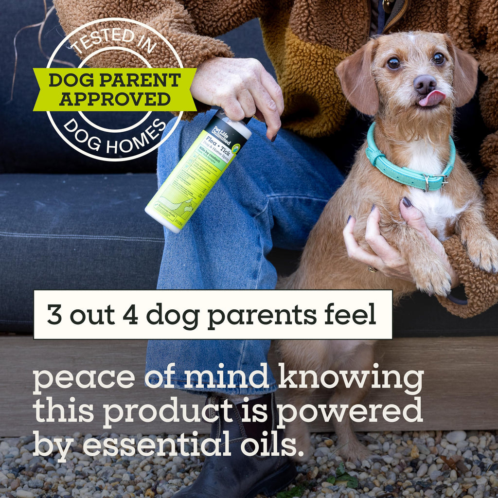 Natural Flea & Tick Spray for Dogs, 10 oz Plant-Based U95957