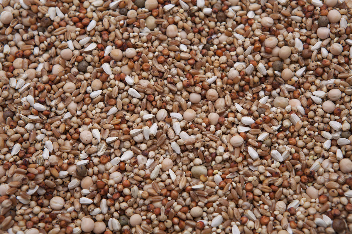 No Corn Special Mix (13.5%) (20) B8334