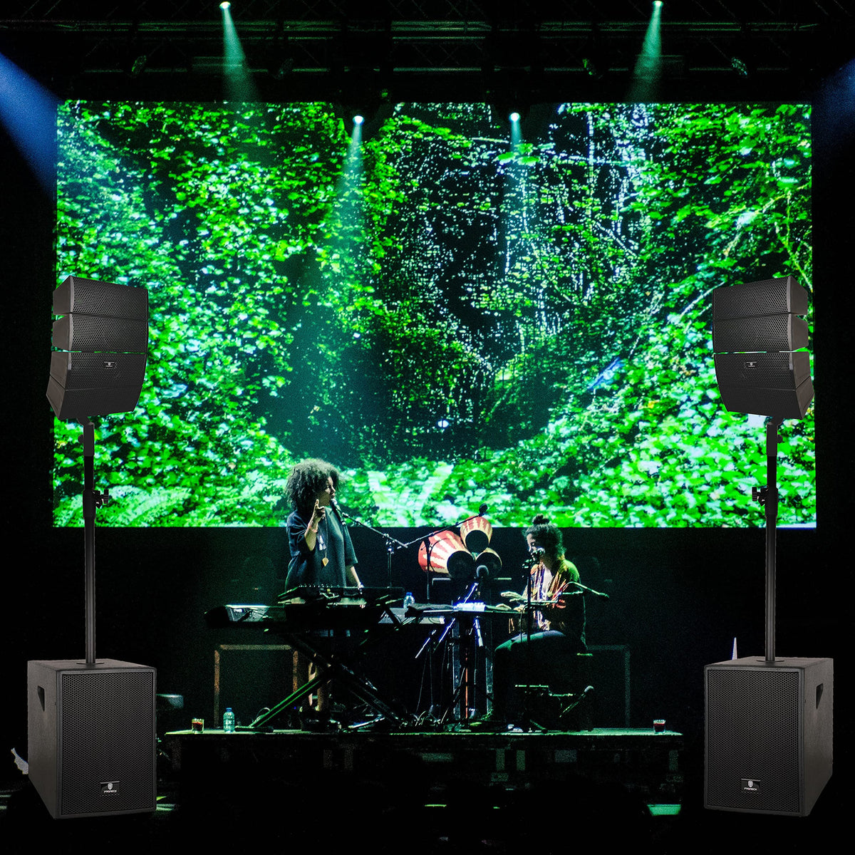 4000W PA Speaker System Combo Set with Two 12 Inch Subwoofers and 8 Line Array Speakers Q6018